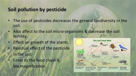 Environmental Effects Of Pesticide