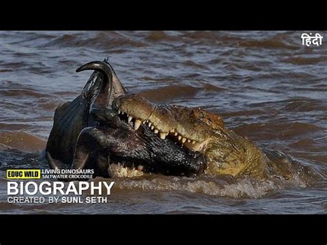 Reign Of The River Giants The Fascinating World Of Saltwater