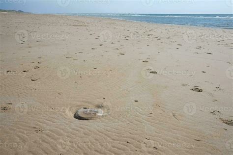 sand dunes on the beach 24807418 Stock Photo at Vecteezy