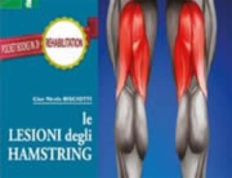 Muscle Injuries In Sport Medicine Kinemove Center Centro Di