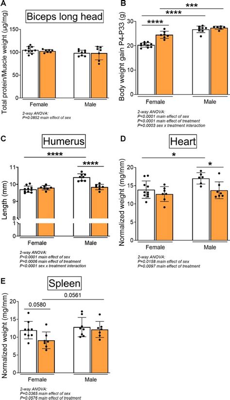 Figures And Data In Sex Specific Role Of Myostatin Signaling In