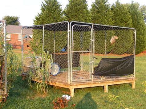 Outdoor Dog Kennel Flooring Ideas | Examples and Forms