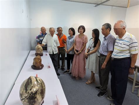 收藏家楊春娥「魚蟹藝雕化石展」在學甲藝文展示館歡迎同好前往觀賞 元丰傳媒 开启兩岸交流新纪元