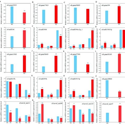 Qrt Pcr Validation Of Mirnas And Target Gene Expression Levels At Download Scientific Diagram