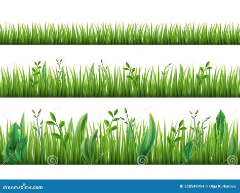 Realistic Grass Growth Different Stages Green Plants Growing Fresh Herbs Stripes Lawn Borders