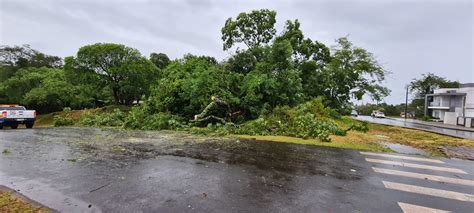 Temporal Derruba Rvores E Deixa Casas Destelhadas No Oeste Verde Vale Fm