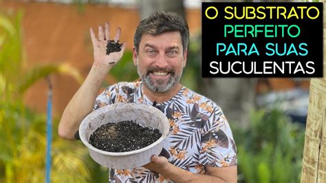 O Melhor Substrato Para Suculentas Confira