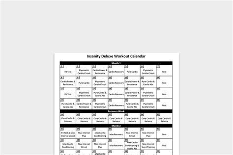 10 Best Printable Insanity Workout Schedule Atelier Yuwa Ciao Jp