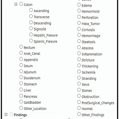 Radiology Imaging Taxonomy Depicting Clinical Entities And Their