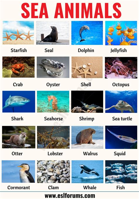 Marine Animals With Cool Names – Idalias Salon