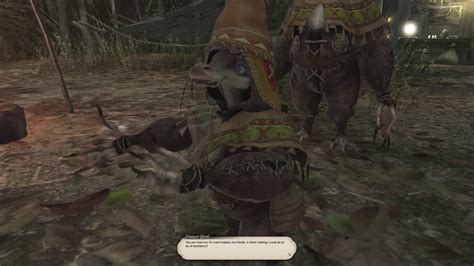 Final Fantasy XIV LiveCAM Qitari Beast Tribe Quest 04 YouTube