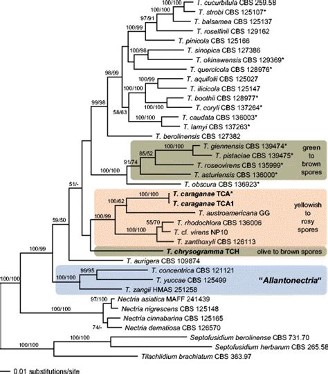 Phylogram Of The Best Maximum Likelihood Tree Lnl