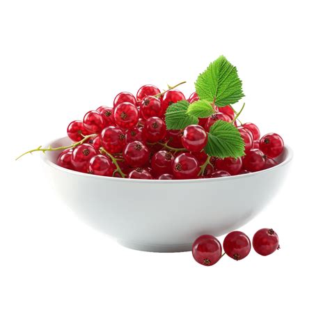 Ai Generated Bowl With Fresh Red Currant Isolated On Transparent