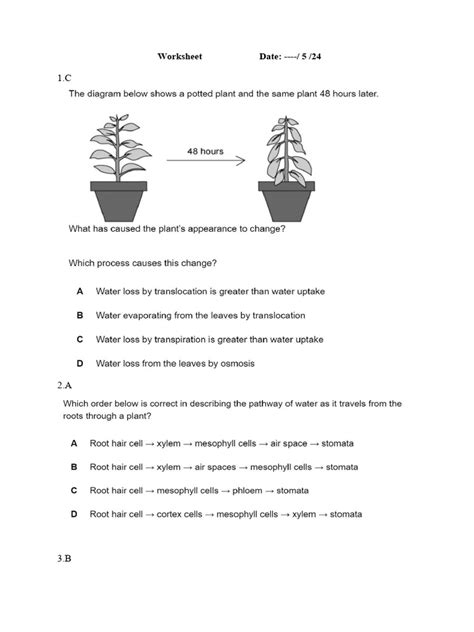 645550103 Ch 8 Transport In Plants Worksheet 1 Answer Pdf Stoma Leaf