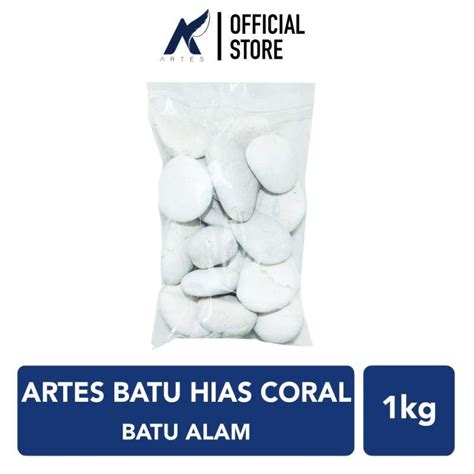 Jual Artes Batu Hias Alam Coral Besar Koral Kupang Tanaman Tumbuhan