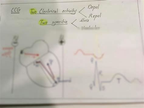 Solution Cvs Dr Nagi Diagrams Studypool