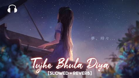 Tujhe Bhula Diya [slowed Reverb] Mohit Chauhan Anjana Anjani Priyanka Chopra Ranbir