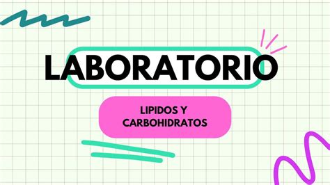 Lípidos y carbohidratos GABRIEL EDUARDO BARUA HORNA uDocz