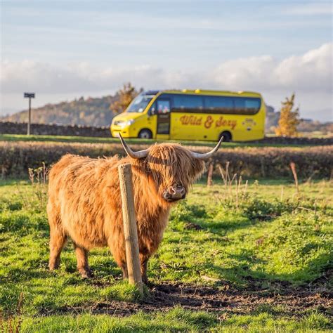 Haggis Adventures Inverness Lohnt Es Sich Aktuell Für 2024 Mit Fotos