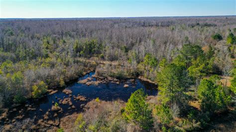 Twiggs County Ga 255 Acres Green Hill Land And Forestry