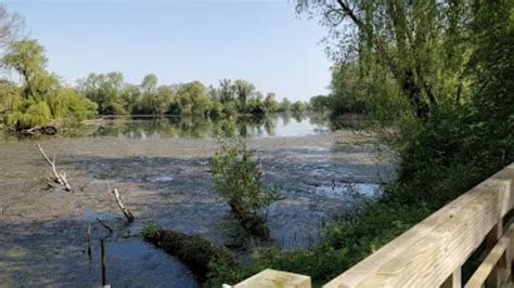 Paxton Pits Nature Reserve St Neots 2021 All You Need To Know