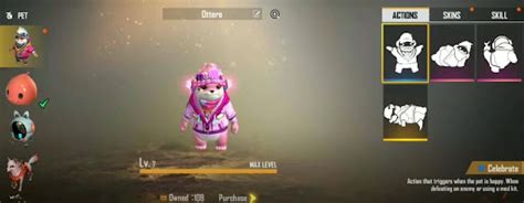 Garena Free Fire Top 5 Best Pet Combinations With Chrono