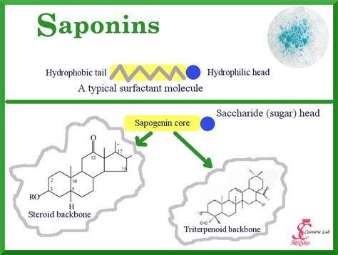 foam saponins  natural cosmetics swettis beauty blog