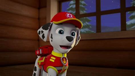 Watch PAW Patrol Pups Save a Pizza; Pups Save Skye S2 E24 | DIRECTV