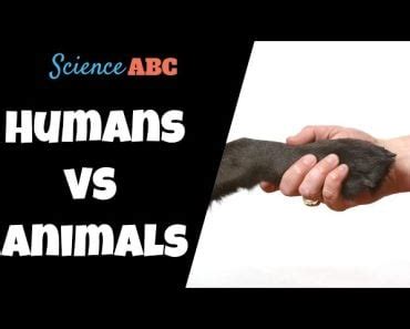 Why Do Humans Have Different Blood Types ScienceABC