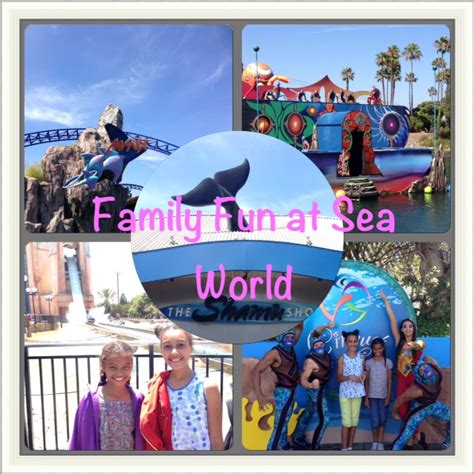 Family Fun at Sea World – An Unstoppable Journey