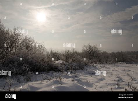 winter white landscape Stock Photo - Alamy