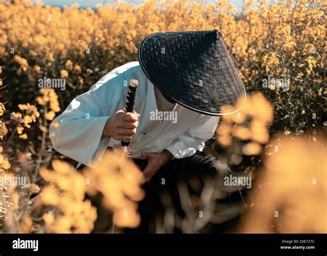 male   black vietnamese straw hat   field stock photo alamy