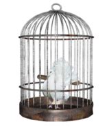 Bird Cage Png Clipart Png Mart