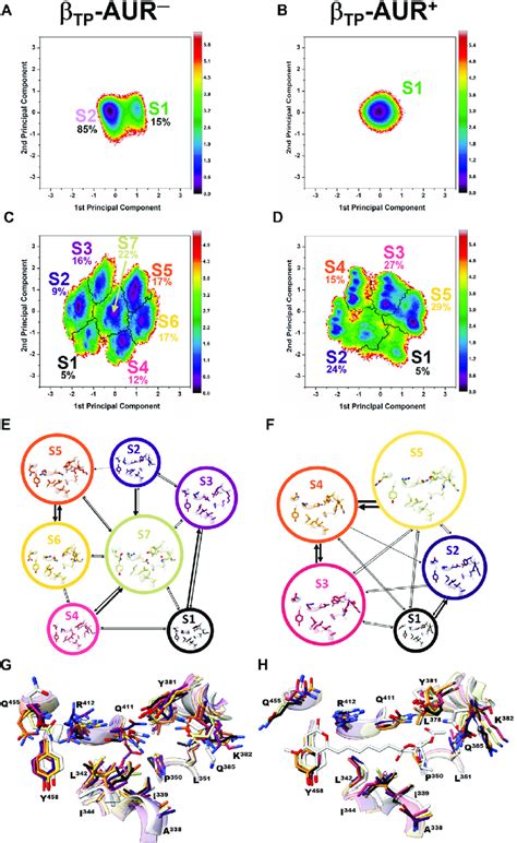 Dihedral Angle Free Energy Landscapes FEL For The AUR Binding Site