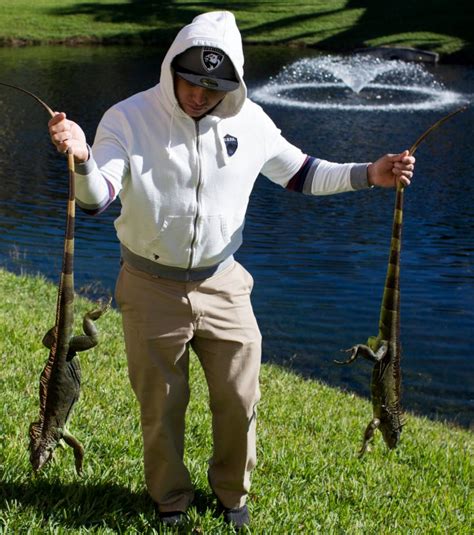 Frozen Iguanas Falling From Trees In Florida Due To Extreme Weather