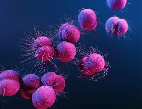 helpMedix - Sexually transmitted disease - Gonorrhea