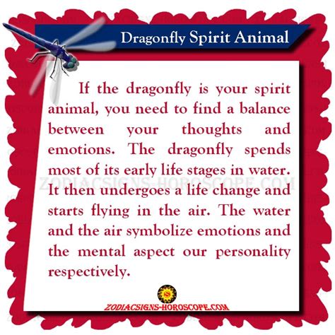 Dragonfly Spirit Animal: Meaning, Symbolism, Dreams of Dragonfly Totem