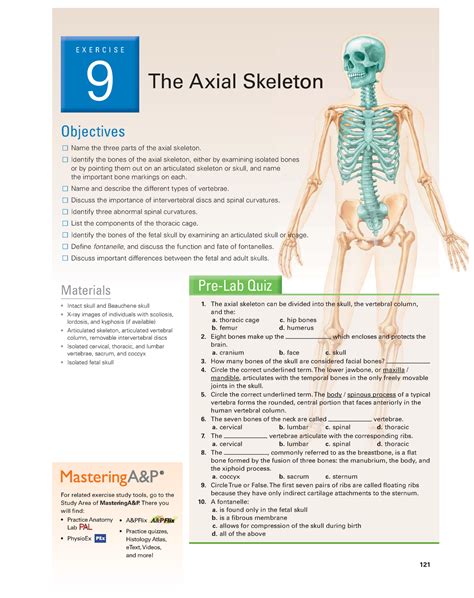 Marieb Lab Manual Exercise Skeletal System Exercise The Axial