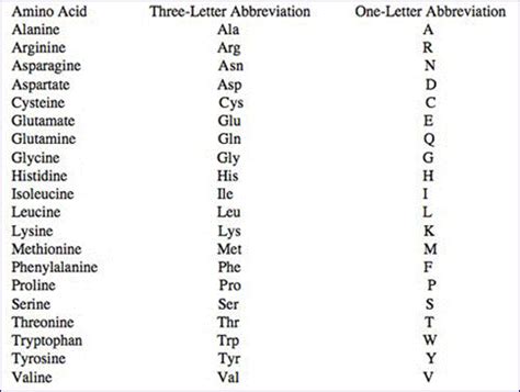 Amino Acids And Abbreviations