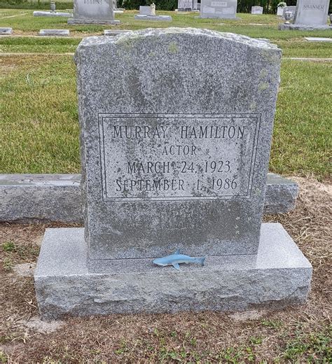 Why the talent of Murray Hamilton actor was often overlooked by critics 9