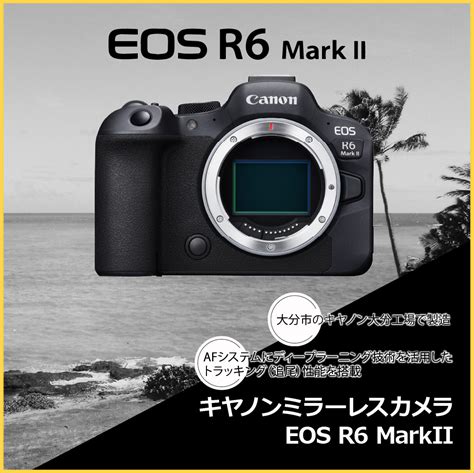 キヤノンミラーレスカメラ Eos R6 Mark Ⅱ・rf24 105 Is Stm レンズキット 返礼品のご紹介 大分県大分市