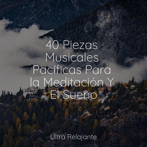 40 Piezas Musicales Pacíficas Para la Meditación Y El Sueño Album by