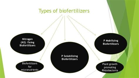 bio fertilizer and their application