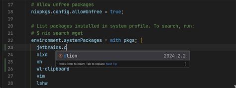 Nix LSP IntelliJ IDEs Plugin Marketplace