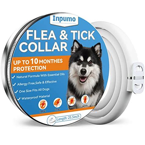 Collar Scalibor 65 cm Amazon Protección duradera para tu mascota Mi