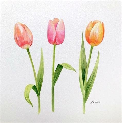 Pink Orange And Yellow Tulips Watercolor Painting Step By Step