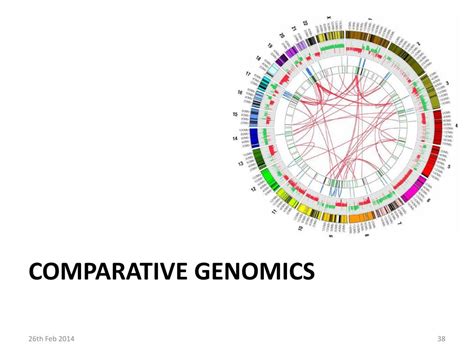 Ppt Functional Annotation Comparative Genomics Powerpoint