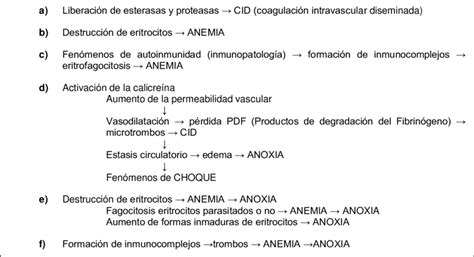 Mecanismos De Acción Patógena De Babesiosis Bovina Cordero Del Download Scientific Diagram