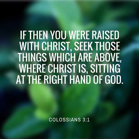 Colossians Busy And Loving It