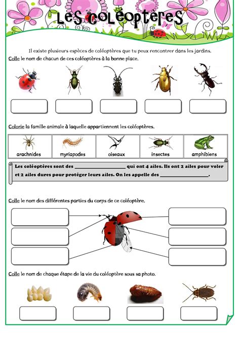 Jardinage à Lécole Fiches De Préparations Cycle1 Cycle 2 Ulis